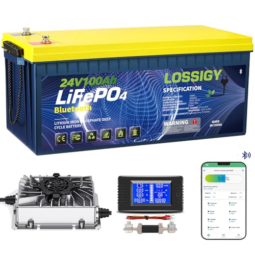 LOSSIGY 24V 100AH LiFePO4 Lithium Battery Conversion Kit, Built in 100A Smart BMS, 2.56kW Output...