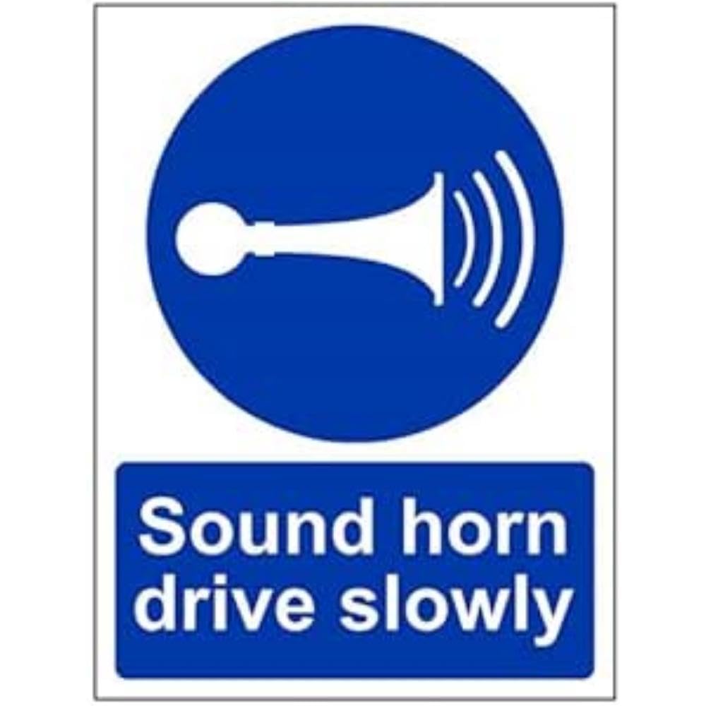 V Safety 43059br-r obbligatoriaGenerale, Plastica rigida, Solo disabili, paesa