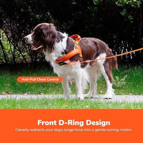 Image of Didog No Pull Dog Harness for Small Dogs, Breathable Mesh Padded, Orange,XS | Quick Fit, Easy On and Off, Lightweight, Reflective Vest Harness for Night Safty, Easy for Walking and Training, Chest 15-18 inch