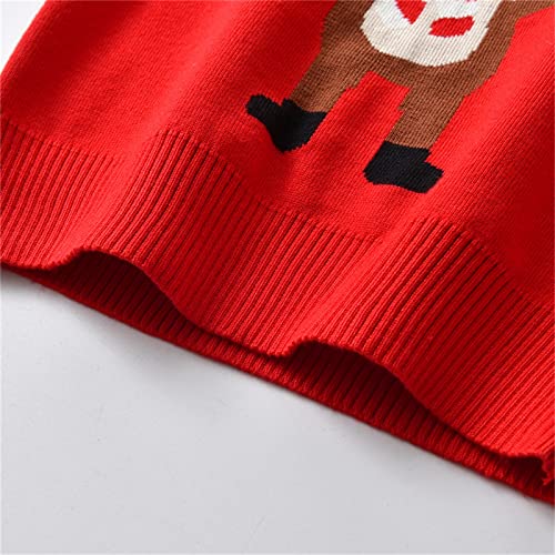 Toddler Kids Girls Boys Christmas Dinosaur Cartoon Sweater Casual Prints Knitted Girls Animal Print Clothes3