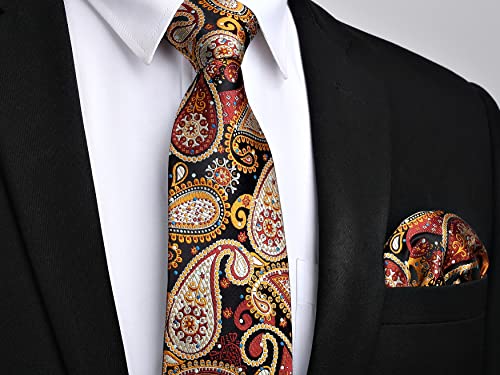 Image of HISDERN Ties for Men Paisley Tie and Pocket Square Woven Classic Floral Mens Ties Handkerchief Set Wedding Party Necktie