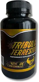 +Performance 120 Cápsulas 500mg