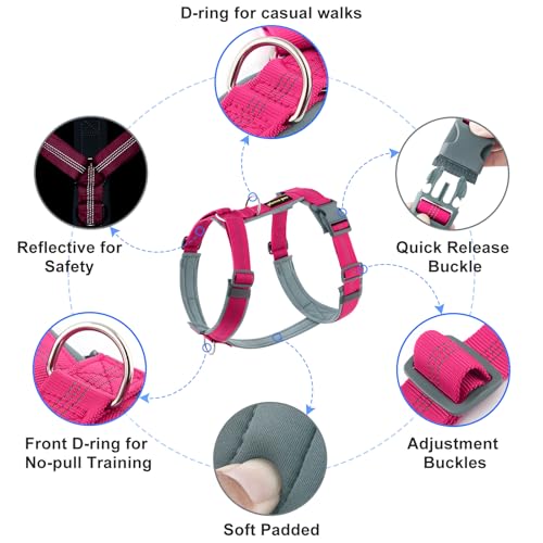 Plutus Pet No Pull Dog Harness, Adjustable Nylon Harness with Soft Padding, Reflective and Heavy Duty Dog Harness for Small, Medium, Large Dogs(Hot Pink, M)