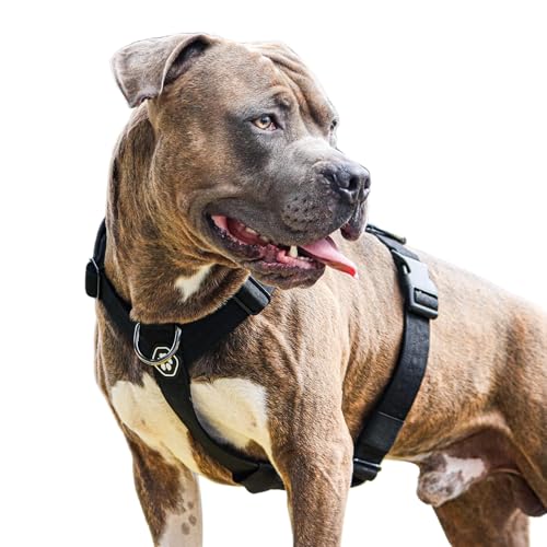 Spark Paws No Pull Hundegeschirr Grosse Hunde, Halterdesign mit Frontclip, Y Geschirr Hund, Robust und Strapazierfähig Harness für Große und Starke Rassen - Black, L