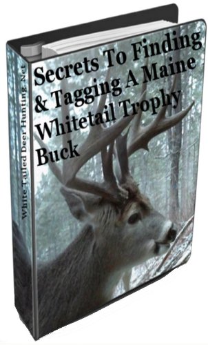 Secrets To Finding And Tagging A Maine Whitetail Trophy Buck