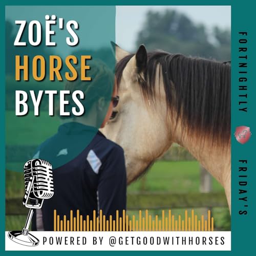 101. My horse changed - Or did I?