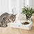 Marchul Cat Bowls with Mat, Gravity Water and Food Bowl for Cat and Small Dog, Tilted Raised Cat Feeder Bowls (Double bowl + mat)