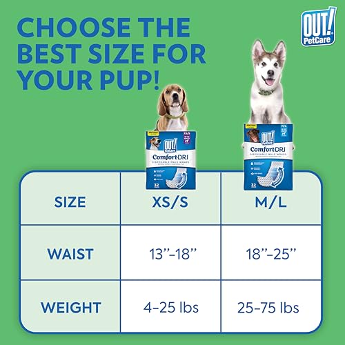Image of OUT! PetCare Male Dog Diapers, Disposable Belly Bands, XS /S, 32 Count (Pack of 12)