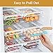 SNSLXH 2 Pack Refrigerator Drawer Organizer, Pull Out Shelf Storage Transparent Organizer for Egg, Fruit, Vegetable, Seafood, Meat, Fit All Fridge Shelves Under 0.6''