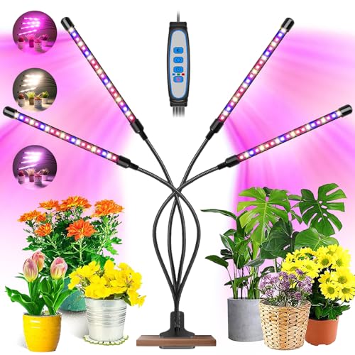 Garpsen Pflanzenlampe, 80 LEDs Vollspektrum Led Pflanzen wachsen Licht, 10 Dimmstufen & 4 Köpfe wachsen Lampe mit Timer 4/8/12H, 360 ° einstellbar Schwanenhals für Sämlinge und Sukkulenten