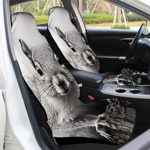 Housse siège auto écureuil gris clair pour protéger des taches