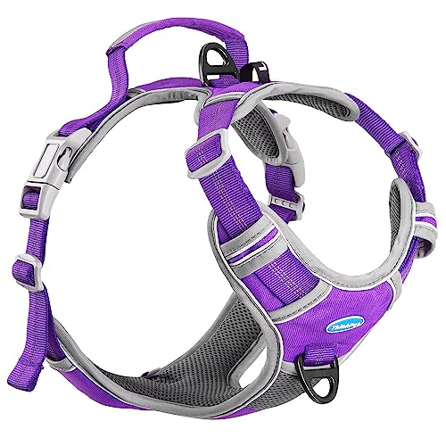 Thinkpet No Pull Harness Breathable Sport Harness With Handle-Dog Harnesses Reflective Adjustable For Medium Large Dogs,Back/Front Clip For Easy Control L Neon Purple #TOP3