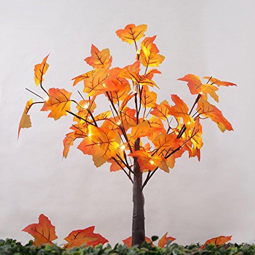 Thanksgiving Tabletop Decorations Amazon Com
