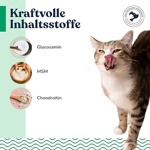 felmo Knochen- & Gelenkpaste für Katzen mit Glucosamin, Chondroitin, MSM und Teufelskralle – Malzpaste in der 100 g Tube, zuckerfrei und in Deutschland aus sorgfältig ausgewählten Zutaten hergestellt