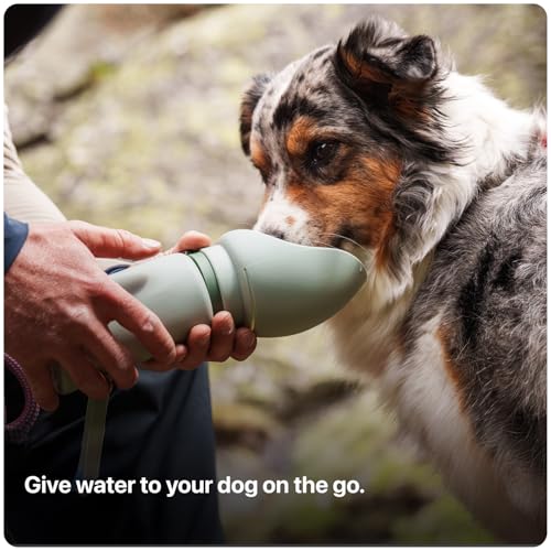 SÄKER Slurpy Sack Collapsible Dog Water Bottle 750ml — view 2