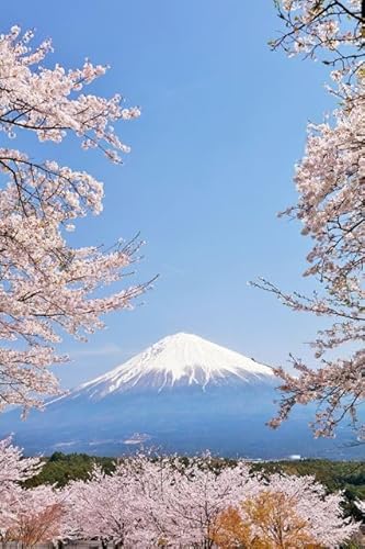 y{̕i|XgJ[hLac et Soleilz̐ςxmRƍ炫ւ̂͂nKLPP Be/YOSHIO IWASAWA