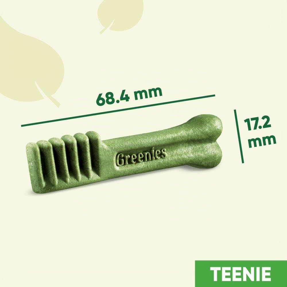 GREENIES Zahnsticks für sehr kleine Hunde von 2 bis 7 kg – 258 Kaustäbchen (6 x 340 g) – Leckerli Zertifiziert von Tierärzten für die Mundhygiene bei Hunden, frischem Atem