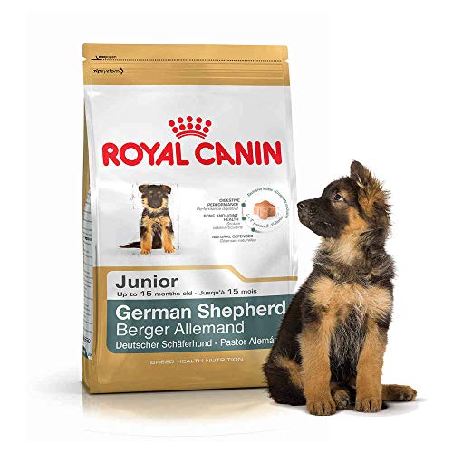 Royal Canin German Sheperd 30 Junior 12 kg, 1er Pack (1 x 12 kg)