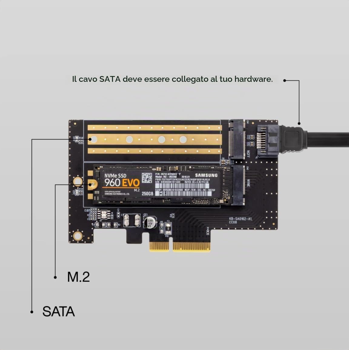 ZimaBoard Scheda adattatore SSD NVME M.2 Dual 32Gbps M Key PCIe 4.0 x4 per server ZimaBoard, PC desktop, supporta scheda di espansione SATA 6Gbps NGFF B Key senza dissipatore di calore