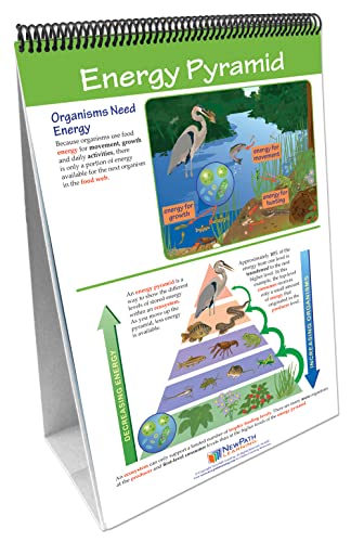 Image of NewPath Learning Food Chains & Food Webs Laminated, Double-Sided inchWrite-On /Wipe-Off inch Flip Chart - Set of 10, 12 inch x 18 inch Charts (34-6730)