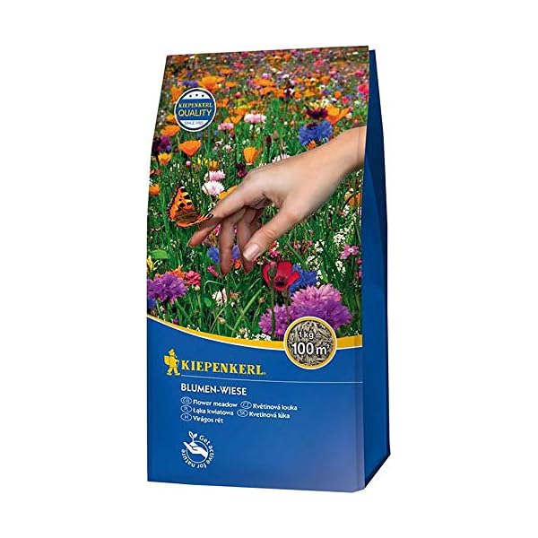 Rasensamen - Blumen-Wiese 1 kg von Kiepenkerl