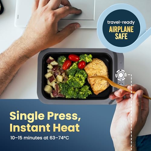 Electric Portable Lunch Heater