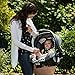 Evenflo Vive Travel System with Embrace Infant Car Seat, Spearmint Spree