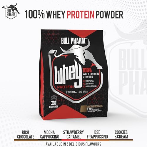 Image of 100% WHEY PROTEIN POWDER | FOR LEAN MUSCLE, QUICK RECOVERY | FAST ABSORPTION | NATURAL BCAA AND EAA | NON-GMO | SOY & GLUTEN FREE | RBGH FREE | FSSAI APPROVED (2 Lbs, Rich Chocolate)