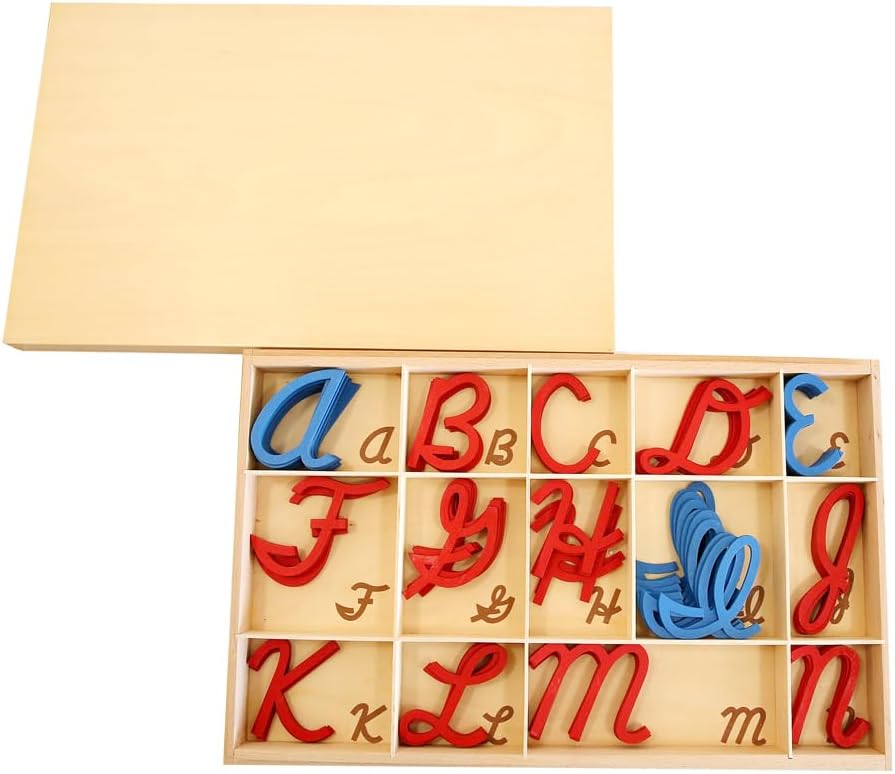 Montessori Small Movable Alphabet Box for Capital, Cursive Letters/Box Only, Montessori Materials Language Educational Tools for Preschool Learning