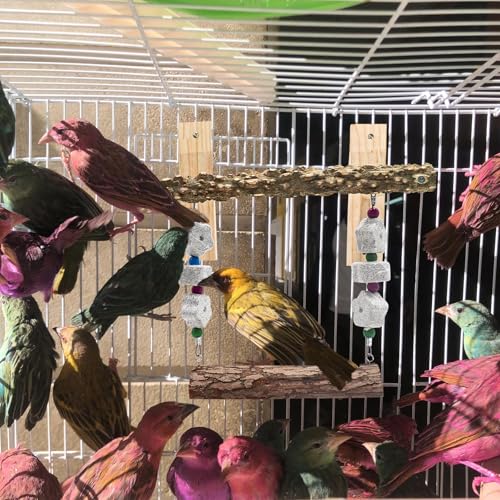 Image of Oooct Bird Swing Toy, Wooden Parrot Perch Stand with Calcium Stone Chewing Toys, Bird Hammock, Cage Accessories for Parakeets, Cockatiels, Conures, Budgie, Lovebird, Grey