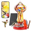 BBPECO Glass Smart Hummingbird Feeder with 2K HD Camera Solar Powered - AI Identify & Water Detection, Instant Notification, Leakproof & Ant Moat, Work with Alexa & Google Assistant