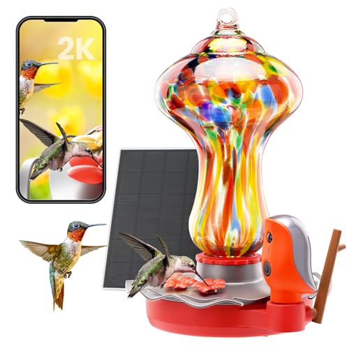 BBPECO Glass Smart Hummingbird Feeder with 2K HD Camera Solar Powered - AI Identify & Water Detection, Instant Notification, Leakproof & Ant Moat, Work with Alexa & Google Assistant