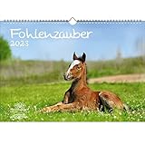 Fohlenzauber DIN A3 Kalender für 2023 Pferde und Fohlen - Seelenzauber