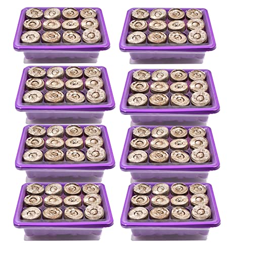 KDXYSL Vassoio per piantine, Set di 8 vassoi per propagatore con Coperchio e Prese d'Aria, Semi Semenzaio Serra 12 Celle Semina Pianta Starter per la Germinazione dei Semi