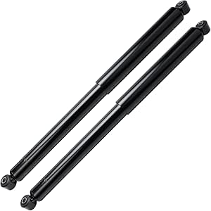 Detroit Axle - 2pc Rear Shock Absorbers for 2009-2019 Ford F-150