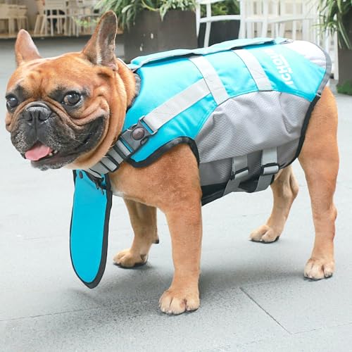 10 Best Life Jacket For English Bulldog