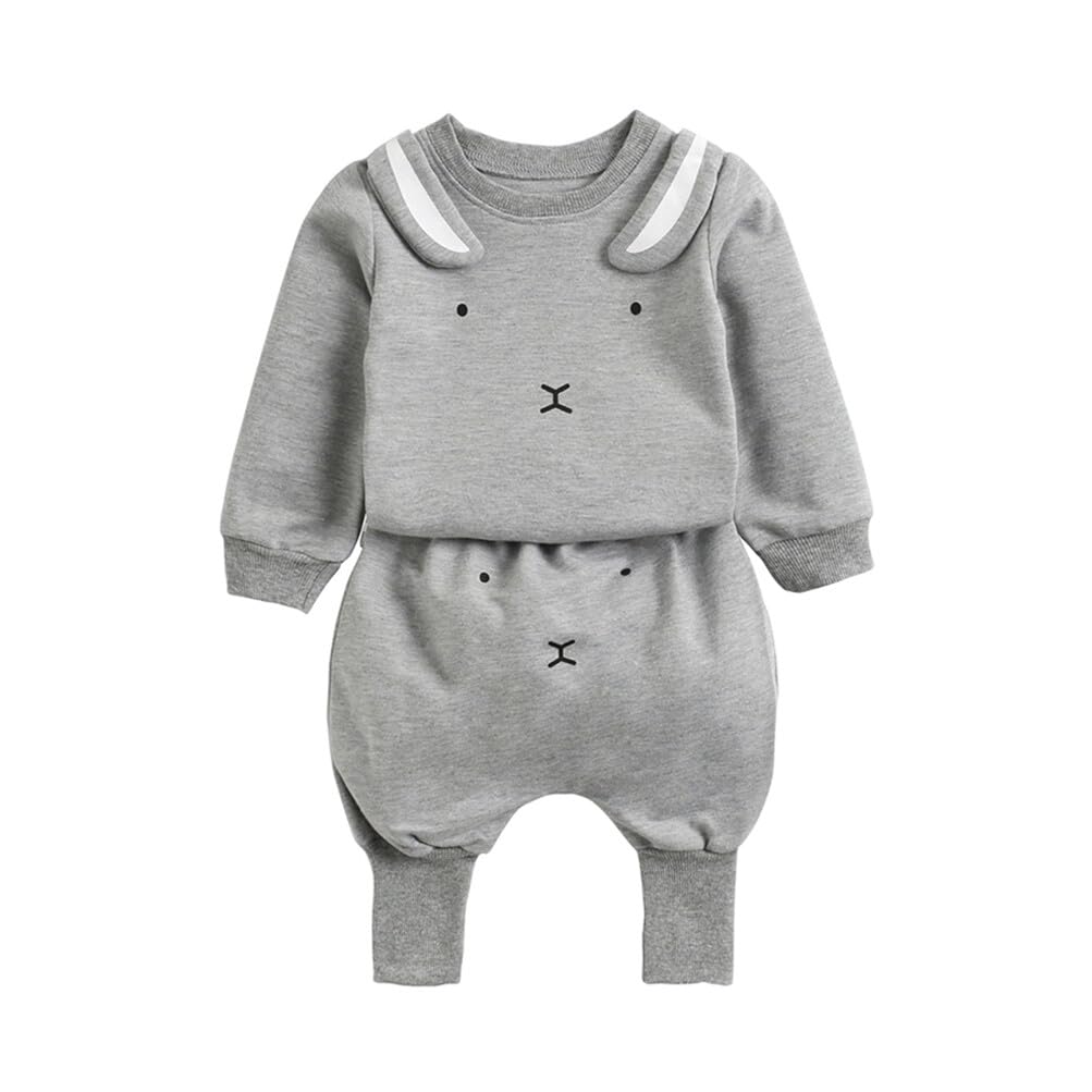Toddler Baby Girl Boy Fall Winter Outfit Long Sleeve Animal Sweatshirt Top and Long Pant Cute Clothes Set