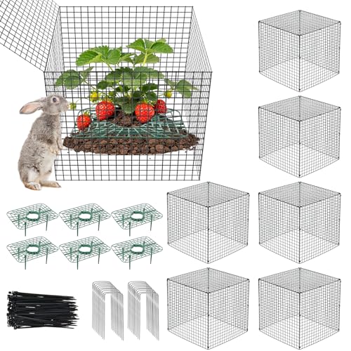 6 Set Upgraded Strawberry Protection Supports with Wire Plant Protectors from Animal Sturdy Metal Wire Plant Cages Mesh Plant Cover Strawberry Growing Racks Planting Stand for Garden 12 Inch Square