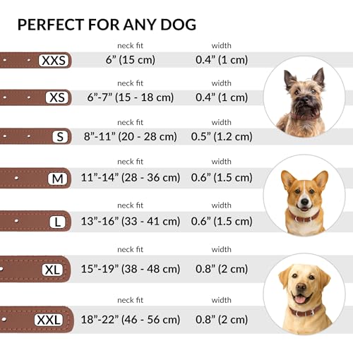 CollarDirect Rundes Leder Hundehalsband, weich gepolstert gerollt, handgefertigtes Echtleder Halsband für Hund Welpe Katze Klein Groß Schwarz Rosa Rot Lila Blau