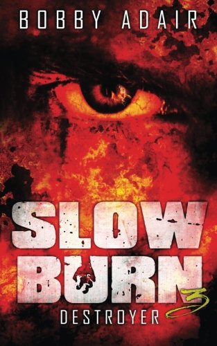 Slow Burn: Destroyer, Book 3 Slow Burn: Destroyer, Book 3