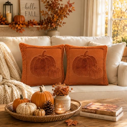 18x18in Embossed Pumpkin Fall Pillow Covers - image 2