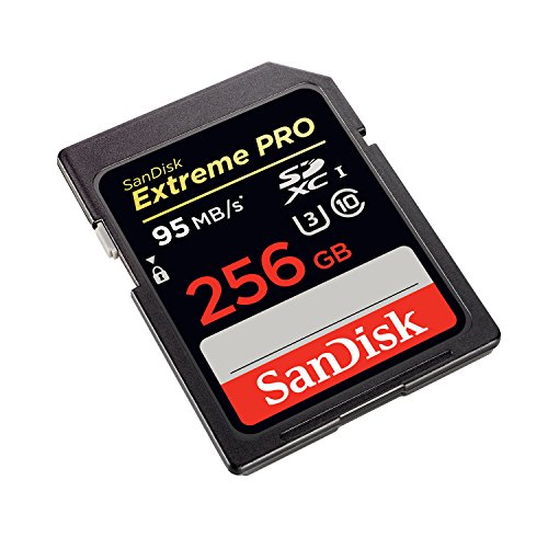 SanDisk Extreme PRO 256GB up to 95MB/s UHS-I/U3 SDXC Flash Memory Card - SDSDXPA-256G-G46