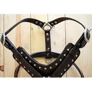 Brown Large HILASON Genuine Leather Dog Harness with Leash Brown Large | Dog Harness | Dog Leash | Leather Dog Leash | Dog Walking Harness | Dog Harness with Leash | Dog Leash Harness