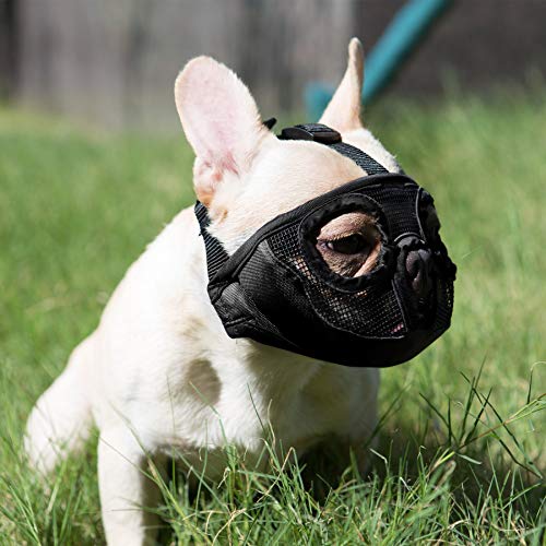 JYHY Maulkorb für Hunde mit abgeflachter SchnauzeFranzösische Bulldogge Maulkorb -verstellbar, atmungsaktiv: Französische Bulldogge, Pekingese, Shih-Tzu, Mops (Schwarz, L(38-64cm))