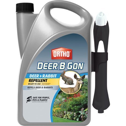 Ortho Deer B Gon Deer and Rabbit Repellent ReadyToUse Spray, 1Gallon