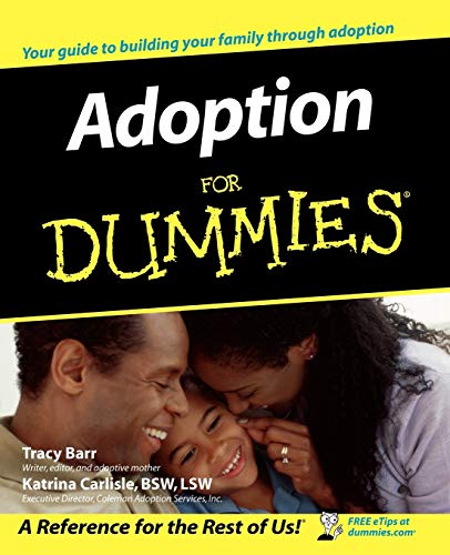 Adoption for Dummies view 2