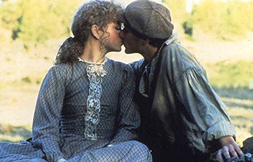 Archer - Die Abenteuer eines Rennpferdes