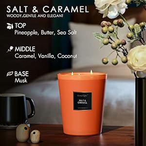 HomeLights Highly Scented Soy Candles Big 333 oz for Home 3 Cotton Wicks Smokeless Long Lasting 130 hrs in Salt Caramel 5×6 Great Gift for Women Men