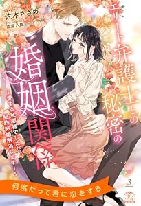 エリート弁護士との秘密の婚姻関係　～愛する旦那様でしたが、契約結婚解消します！～【３】 (チュールキス)