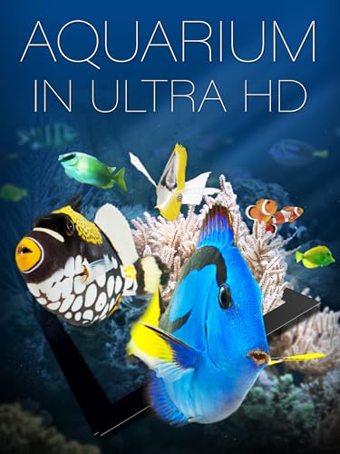 Aquarium in Ultra HD